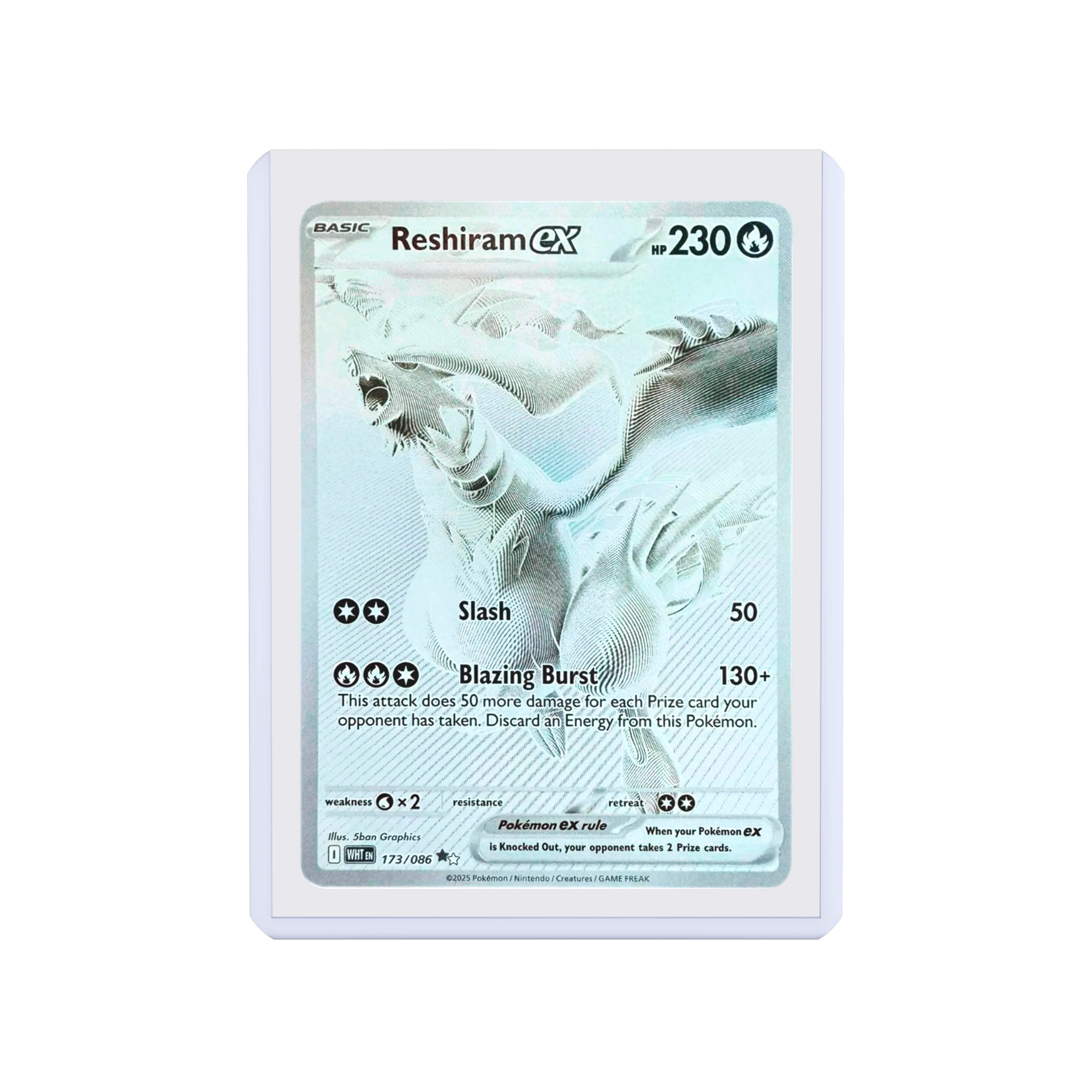 Toploaders - Image 11