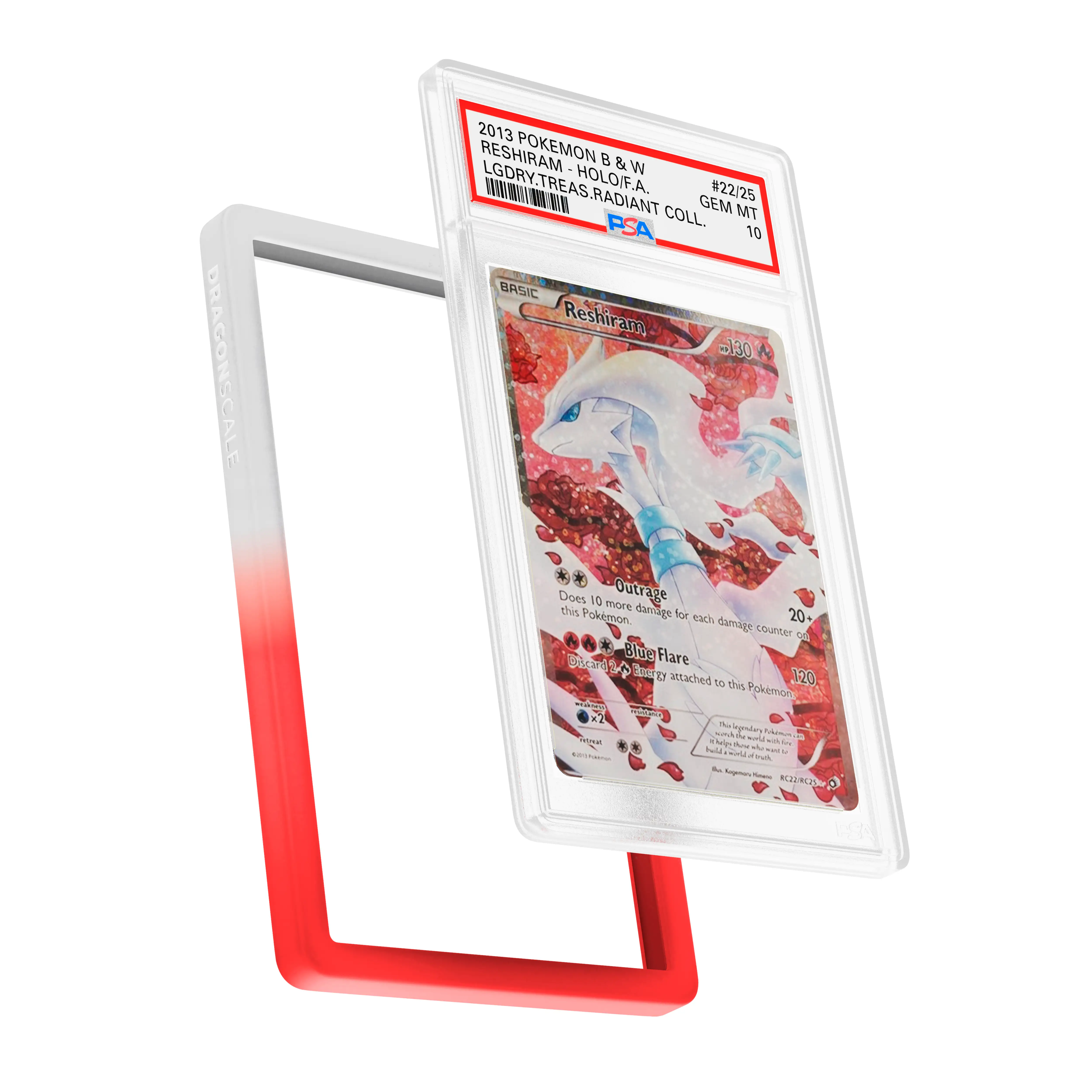 PSA Bumper Guard (Gradient) - Image 27