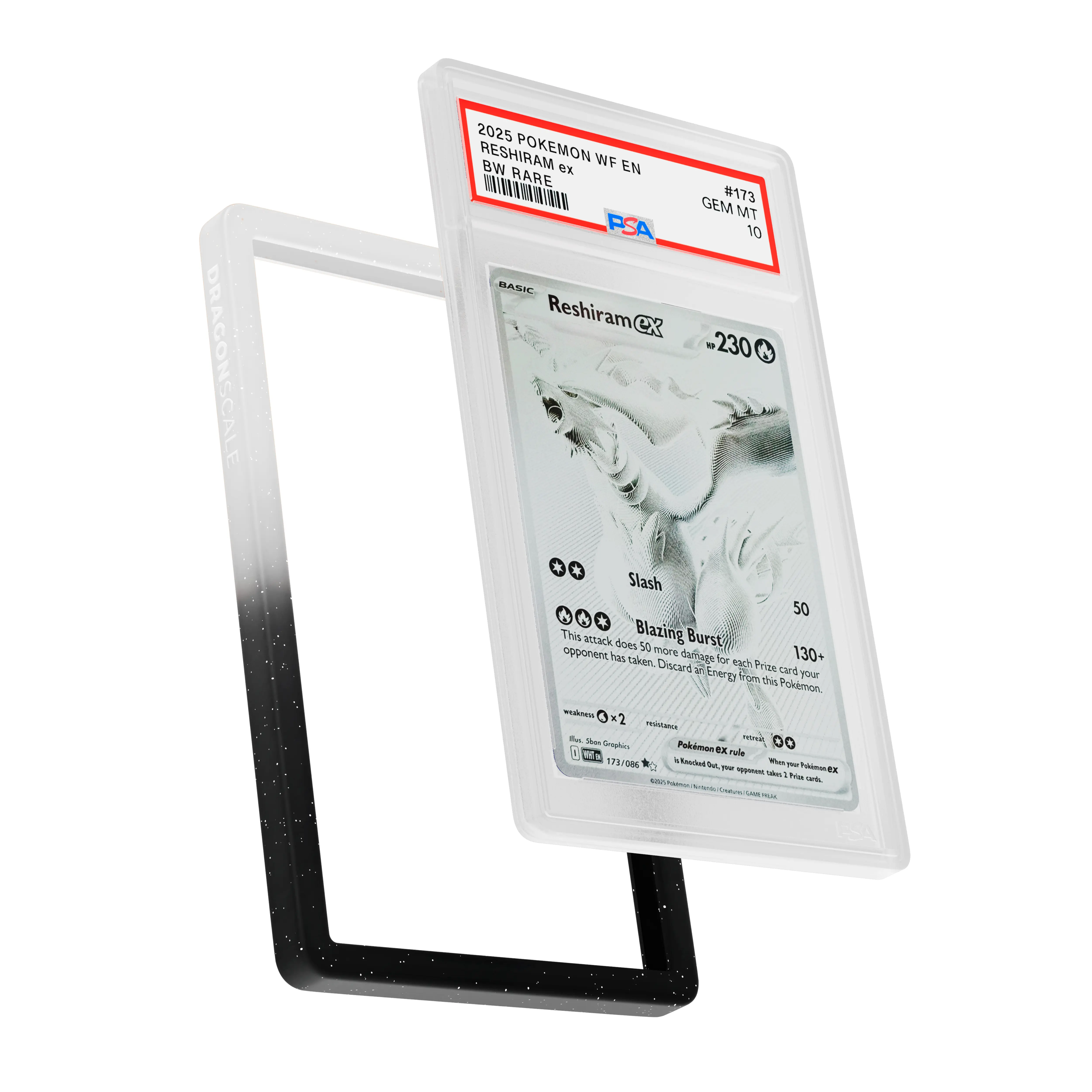 PSA Bumper Guard (Radiant) - Image 75