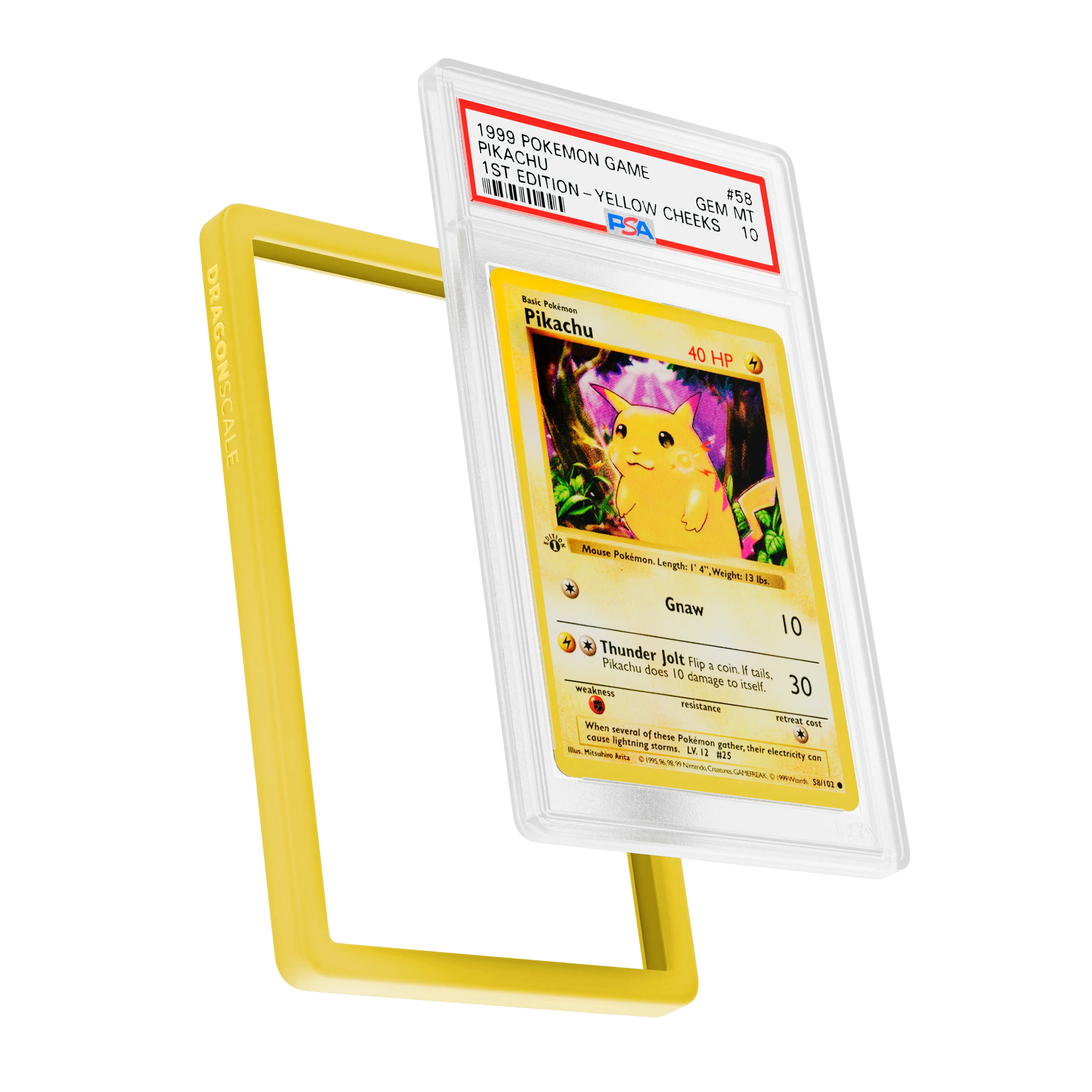 PSA Bumper Guard (Solid) - Image 23